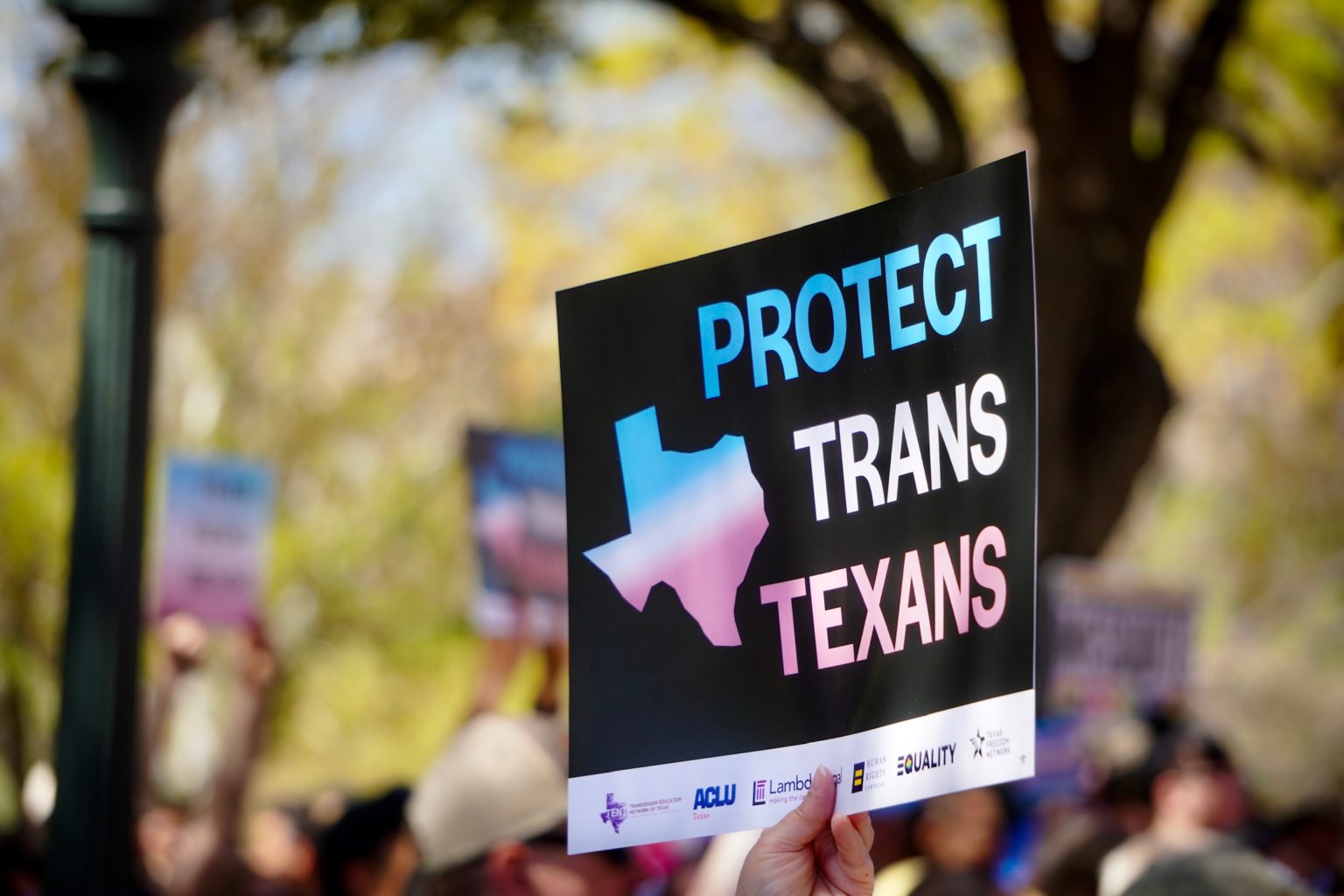 Home Texas Freedom Network (TFN)