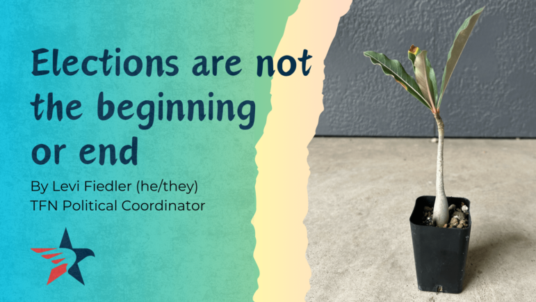 Elections are not the beginning or end, with a plant